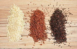 它个头虽小，却是谷物中出身不凡的营养“才子”——谷物种植中的营养瑰宝