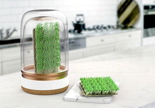智能迷你小农场 三天速成，在家轻松享用新鲜蔬菜谷物