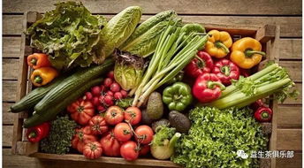 谷物种植 安全快速减肥的科学饮食窍门