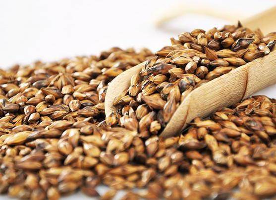 小米 促进伤口愈合的古老谷物，泡茶饮用更有助消化