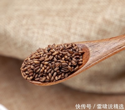 珍稀谷物的璀璨回归 秦岭之缘与张掖丰收的奇迹